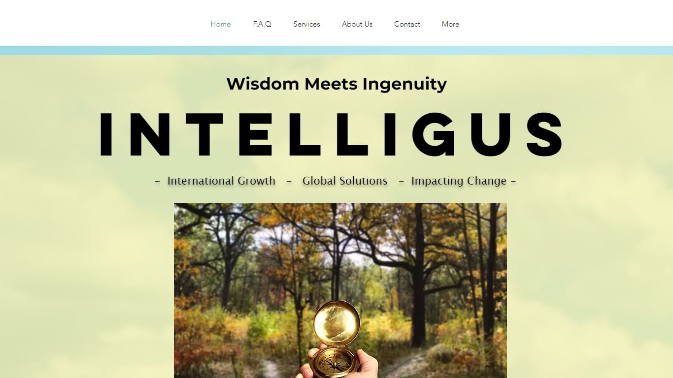 Consulting | Intelligus Consulting | United States